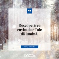 1546100080-evs