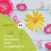 1551692398-evs