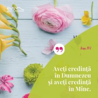 1551692444-evs