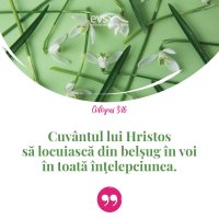 1552316823-evs
