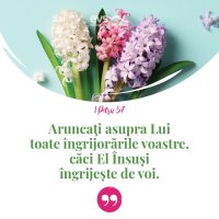1552316890-evs
