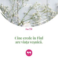 1552317057-evs