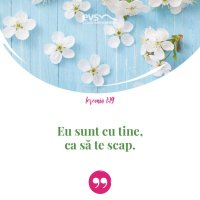 1552317157-evs