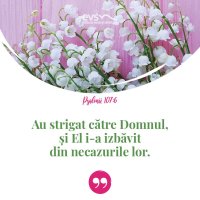 1552560023-evs