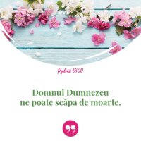1552758209-evs