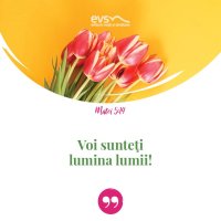 1552830667-evs