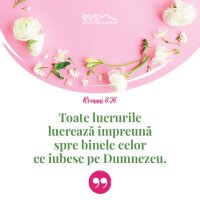1552830727-evs