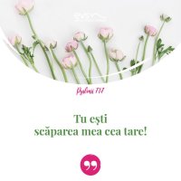 1552830785-evs