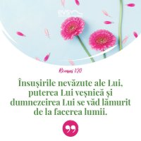 1552830899-evs