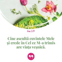 1552830947-evs
