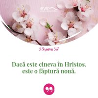 1552831001-evs