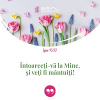 1553519535-evs