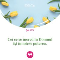 1553519603-evs