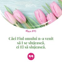 1553519737-evs