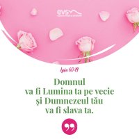 1553519794-evs