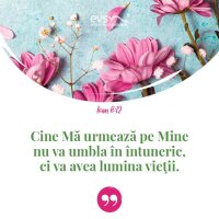 1553519859-evs