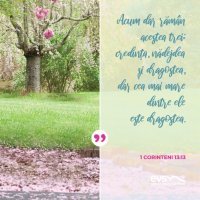 1554152555-evs
