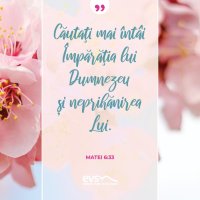 1554499147-evs