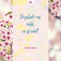 1554499194-evs