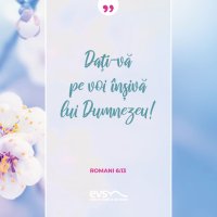 1554710937-evs