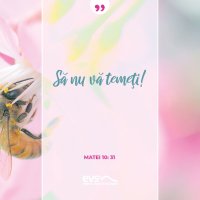 1554711008-evs