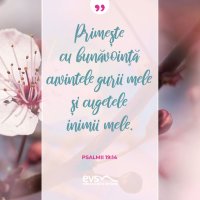 1554711280-evs