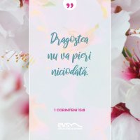 1555308465-evs