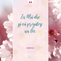 1556109565-evs