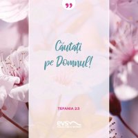 1556109611-evs