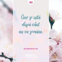 1556109669-evs