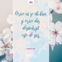 1556109857-evs