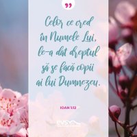 1556180465-evs