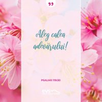 1556180519-evs