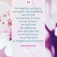 1556373454-evs