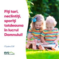 1556956878-evs