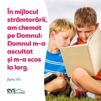 1557089811-evs