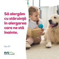 1558163293-evs