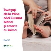 1558951383-evs
