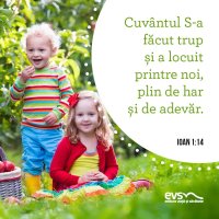1558951874-evs