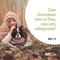 1559631133-evs