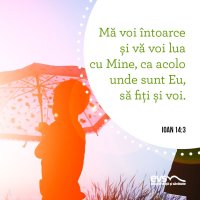 1559631192-evs