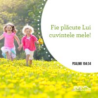 1559631237-evs