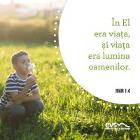 1559631357-evs