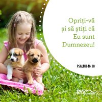1559631464-evs