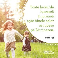 1559916199-evs