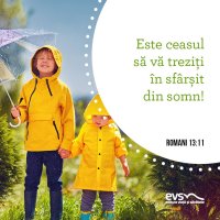 1560848051-evs