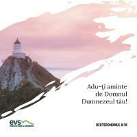 1564416127-evs