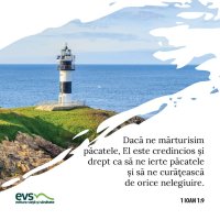 1565457558-evs