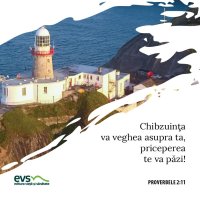 1565457616-evs