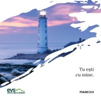 1565457664-evs